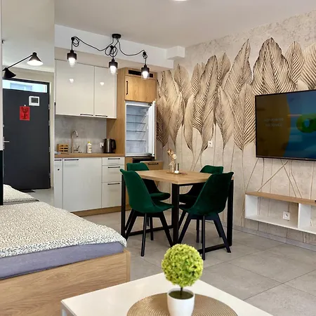 아파트 Na Slonecznej Gorze - Mietowy I Dziupla - Dream 슈차이르크