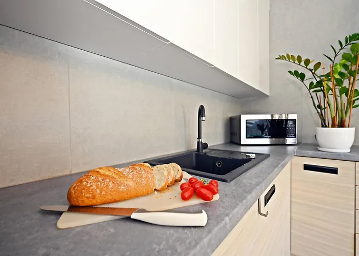 דירה Na Slonecznej Gorze - Mietowy I Dziupla - Dream