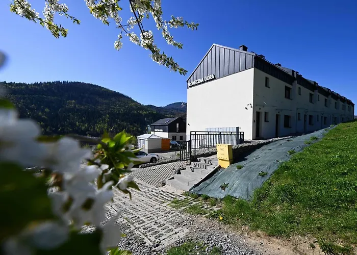 Na Slonecznej Gorze - Mietowy I Dziupla - Dream * שצ'צ'ירק